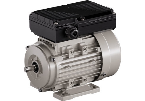 YL 雙值電容單相異步電動機