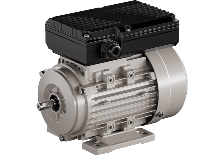 YL 雙值電容單相異步電動機(jī)